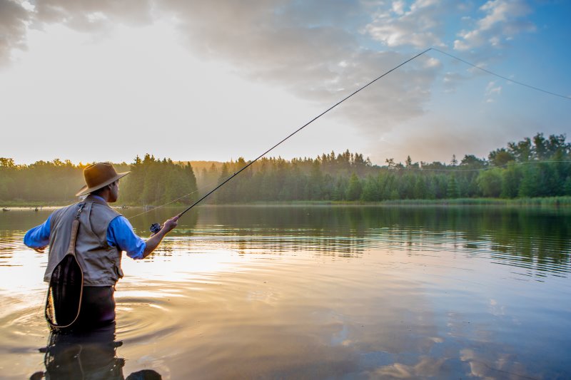 Activités Lac-Saint-Jean